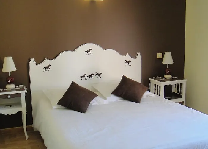 Domaine De Flo Adult A Partir De 16 Ans Bed and Breakfast Saint-Jean-de-la-Blaquiere